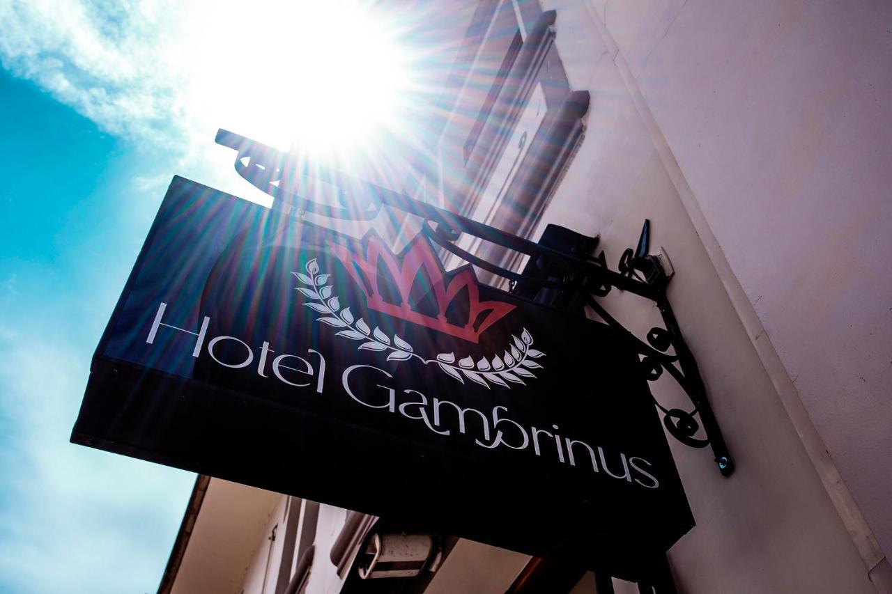 酒店 Gambrinus 3*